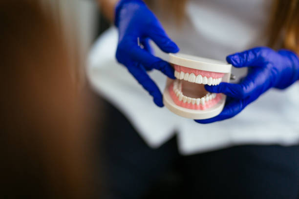 Best Pediatric Dentistry  in Warminster Heights, PA